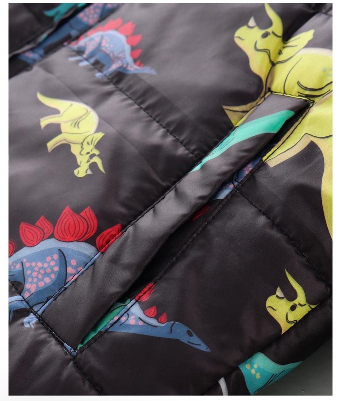 Boys’ Dinosaur Puffer Jacket